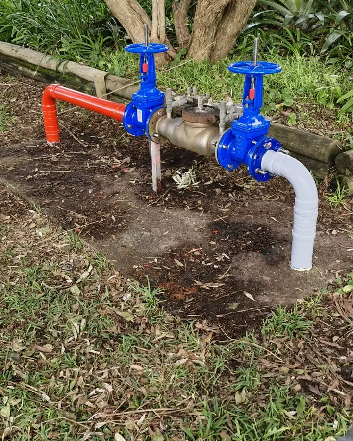 A flanged backflow valve set in a garden bed: a brass body between two blue gate valves, red pipe coming in on one side and grey pipe leaving on the other