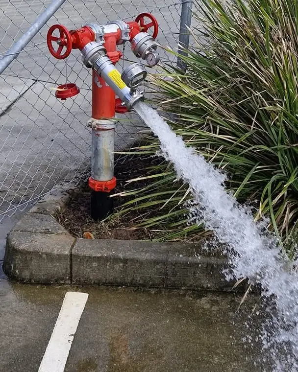 A red twin-outlet hydrant with both valves open, water jetting out across a garden bed