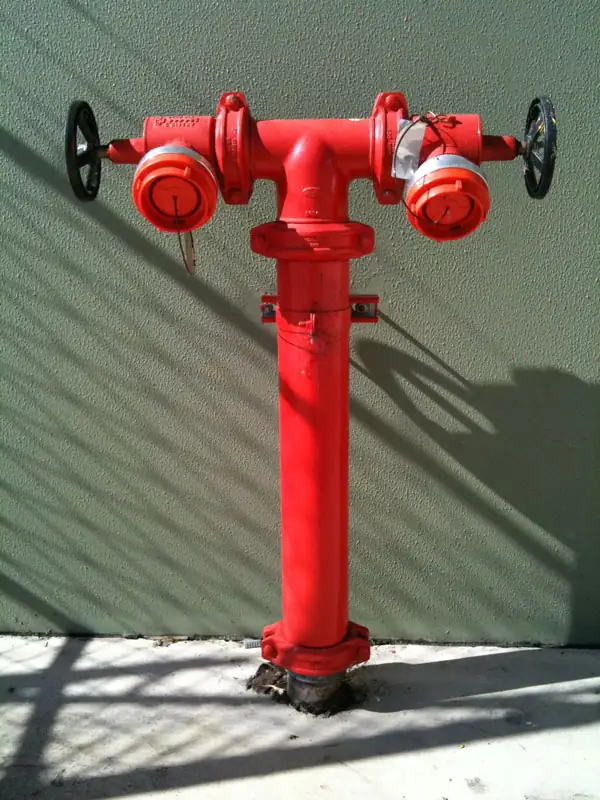 A twin-outlet hydrant against a green wall